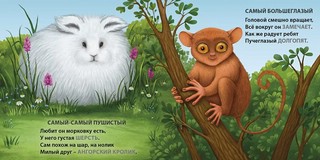 Загадки - рифмы. Самые-самые животные 6