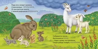 Загадки - рифмы. Мамы и малыши. Домашние животные 6