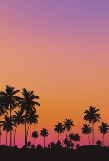 Скетчбук ДЕНЬ/НОЧЬ (обложка с грибами) 8