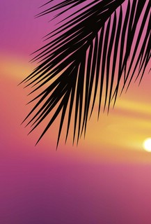 Скетчбук ДЕНЬ/НОЧЬ (обложка с лебедями) 4