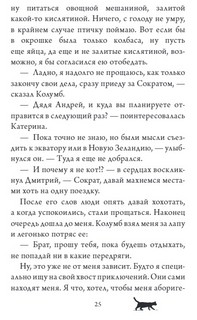 Приключения кота Сократа в Кремле 11