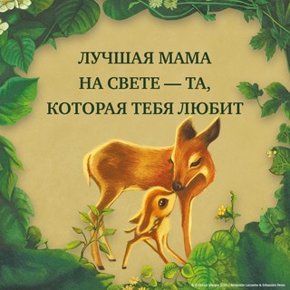 Лучшая мама на свете (иллюстрации Б.Лакомба) 12