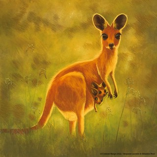 Лучшая мама на свете (иллюстрации Б.Лакомба) 9