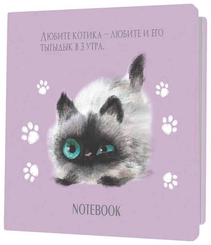 Блокнот с котятами (сиреневый)