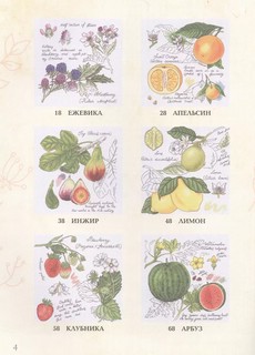 Лучшие ботанические мотивы. Вышивка крестом 4