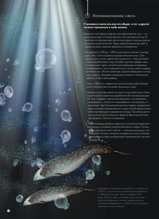 Подводный мир 7