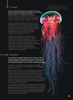 Подводный мир 8