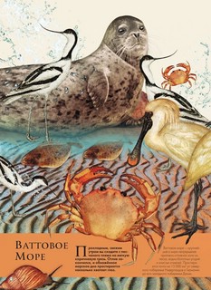 Подводный мир 11