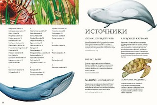 Подводный мир 12