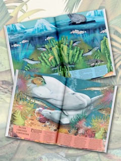 Подводный мир 13