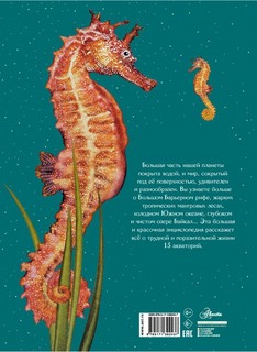 Подводный мир 15