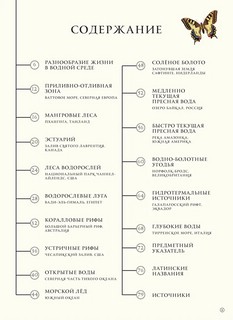 Подводный мир 4