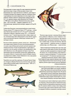 Подводный мир 6