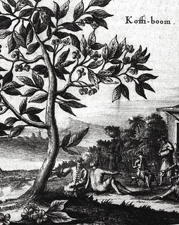 Большая книга кофе. Полный путеводитель 8