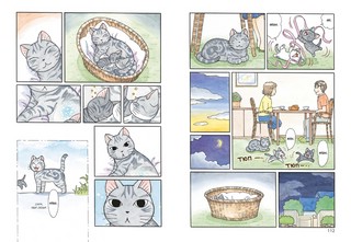 Милый дом Чи. Книга 11: манга 2