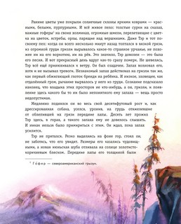 Гризли (илл. В. Канивца) 12