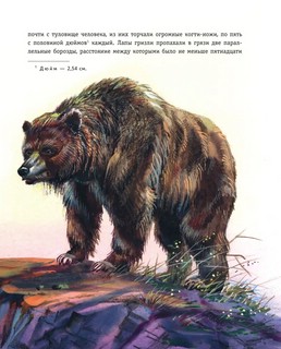 Гризли (илл. В. Канивца) 13