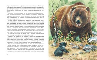 Гризли (илл. В. Канивца) 4