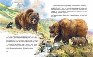 Гризли (илл. В. Канивца) 7