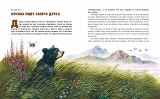 Гризли (илл. В. Канивца) 8