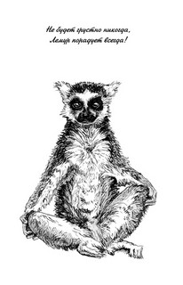Ленивые лемуры. Дзен и потягушки каждый день! Раскраски антистресс 5