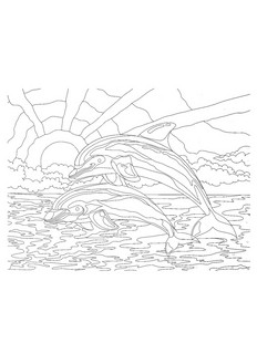 Животные. Картины для раскрашивания по номерам 2