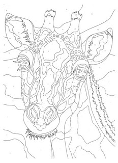 Животные. Картины для раскрашивания по номерам 3