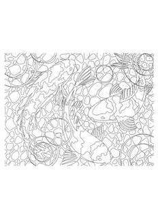 Животные. Картины для раскрашивания по номерам 4