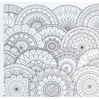 Раскраска-перевёртыш 'В цветочной феерии' 3