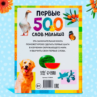 Книга в твёрдом переплёте «Первые 500 слов малыша», 80 стр 6