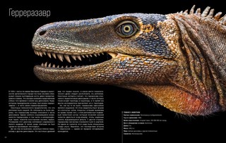 Динозавры. Профили затерянного мира. Энциклопедия 4