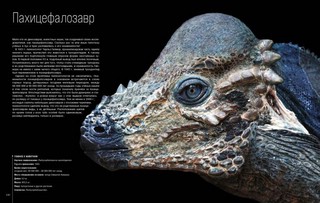 Динозавры. Профили затерянного мира. Энциклопедия 6