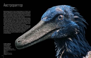 Динозавры. Профили затерянного мира. Энциклопедия 9