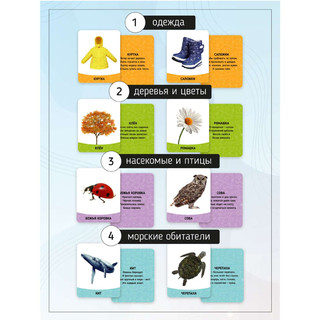 Карточки Домана 'Первые слова' 70 штук, набор №2 4