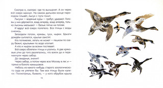 Птичье озеро 2