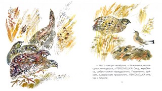 Каменка-плясунья 2