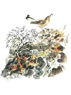 Каменка-плясунья 3