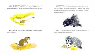 Невидимки песков 2