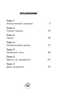 Чебурашка. Официальная новеллизация 5