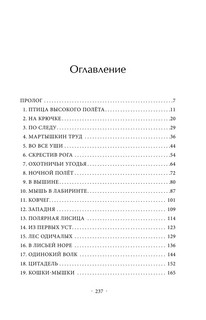 Лисий план 3