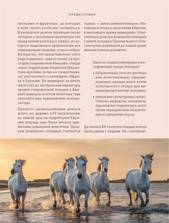 Лошади. Иллюстрированный гид по самым популярным породам 11