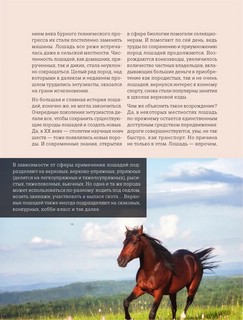 Лошади. Иллюстрированный гид по самым популярным породам 12