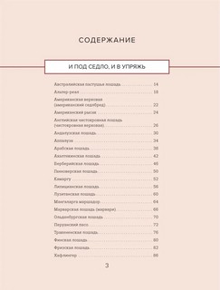 Лошади. Иллюстрированный гид по самым популярным породам 3
