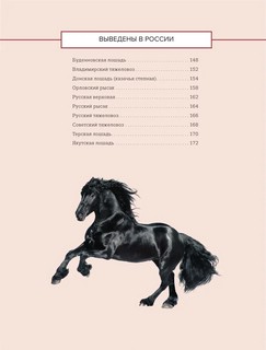 Лошади. Иллюстрированный гид по самым популярным породам 6