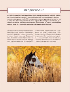 Лошади. Иллюстрированный гид по самым популярным породам 9