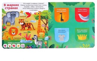 Усатые и хвостатые. Первые окошки 3