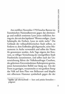 Verwirrung der Gefuhle / Смятение чувств. Книга для чтения на немецком языке 5