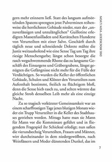 Verwirrung der Gefuhle / Смятение чувств. Книга для чтения на немецком языке 7