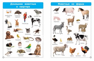 Все-все животные 3