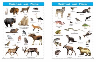 Все-все животные 5